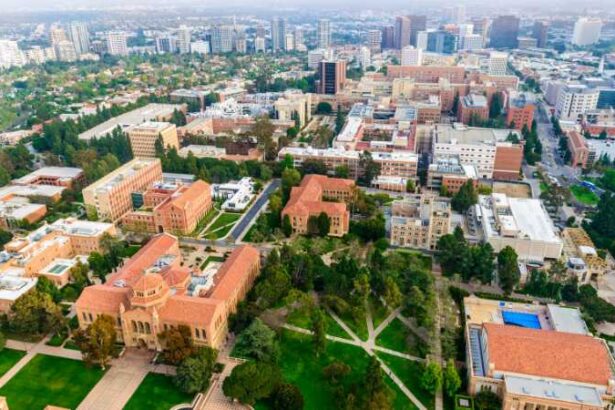 california university