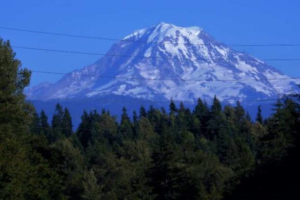 Mt. rainer and power lines