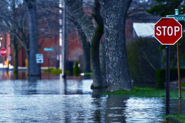 floodwater