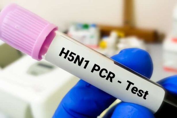 pcr test