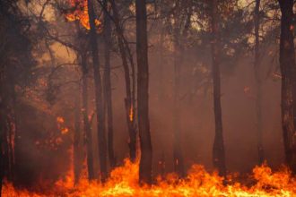 Greece wildfires