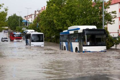 buses in water